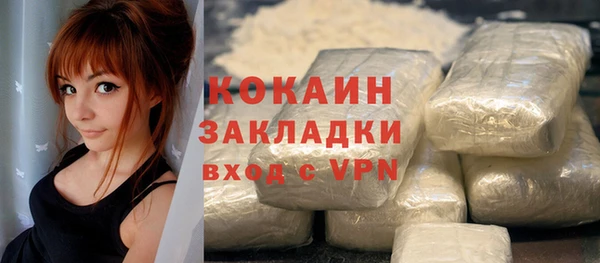 шишки Баксан