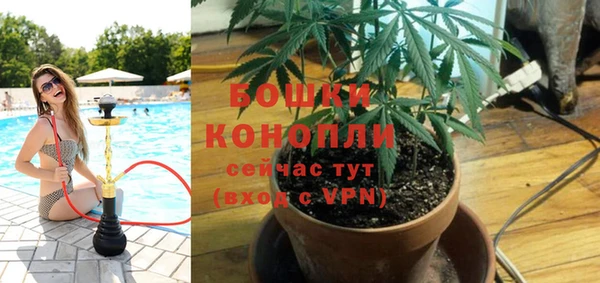 шишки Баксан