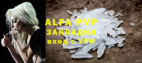 шишки Баксан