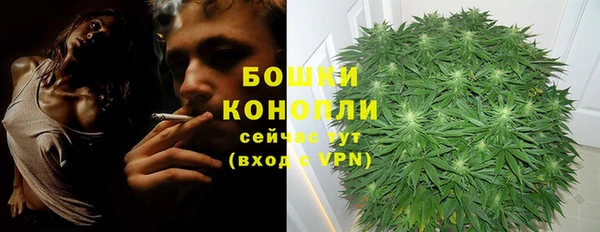 гашиш Арсеньев