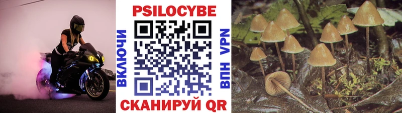 Псилоцибиновые грибы MAGIC MUSHROOMS цена наркотик Няндома